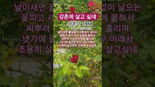 강촌에 살고 싶네  #나훈아#트로트#1968나훈아인생곡ㆍ최고히트인기애창곡#나훈아3대히트곡