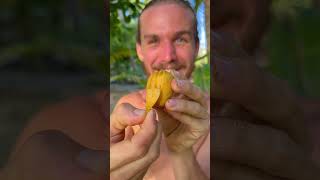 The Most Beautiful Fruit Opening Youll See Today