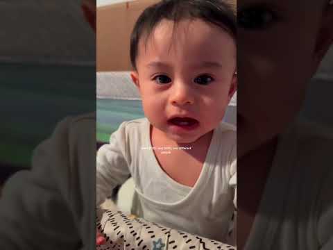 Jan 2025 Vs Dec 2025 Malta Nocopyrightinfringementintended 