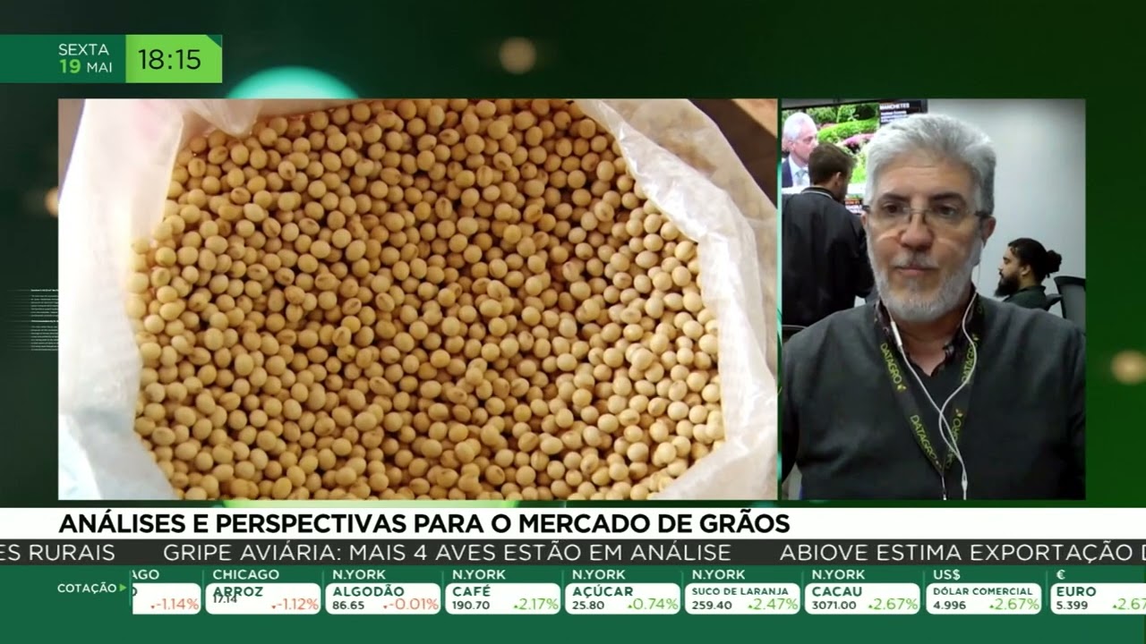 Análises e pespectivas para o mercado de grãos