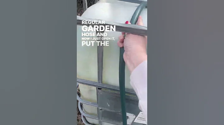 How we collect and use rainwater in our greenhouse #homestead #greenhouse #rainwater - DayDayNews