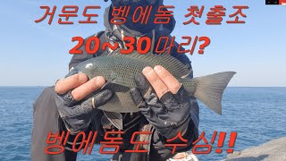 2020-04-06(월) #거문도갯바위 #벵에돔타작 #벵에돔00잠길찌 #4월벵에돔수심층