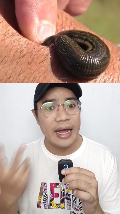 CARA SELAMAT DARI LINTAH!