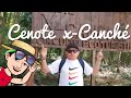 🔴 súper cenote en Yucatán 👍🏻