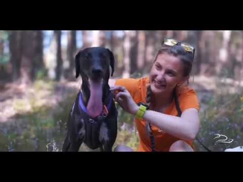 DogFit -  Canicross Life