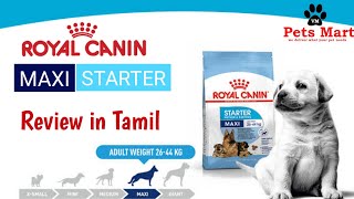 Royal Canin Maxi Starter Review in Tamil | VM Pets Mart