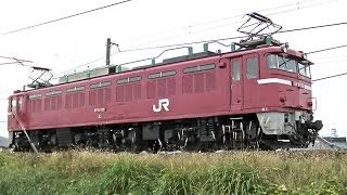 EF81 151 単機回送