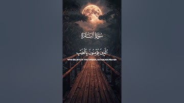 سورة البقرة الآيات{١-٥} #المصحف #quran #اكسبلور #راحة_نفسية #دويتو #حالات_واتس #duet #islamicfestiva