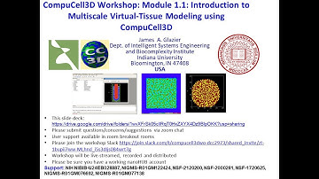 CompuCell3D Workshop 1.1 Intro to CC3D and nanoHUB August 1 2022