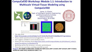 Celebrity CompuCell3D Workshop 1.1 Intro to CC3D and nanoHUB August 1 2022 Net Worth