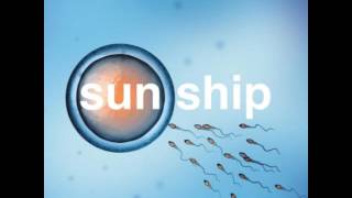 Video thumbnail of "THE BRIAN JONESTOWN MASSACRE - THE SUN SHIP"