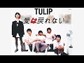 愛は戻れない /TULIP
