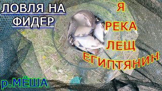 МАЙСКИЙ ЛЕЩ и НЕОЖИДАННОЕ ЗНАКОМСТВО/MAY BREAM and AN UNEXPECTED ACQUAINTANCE!