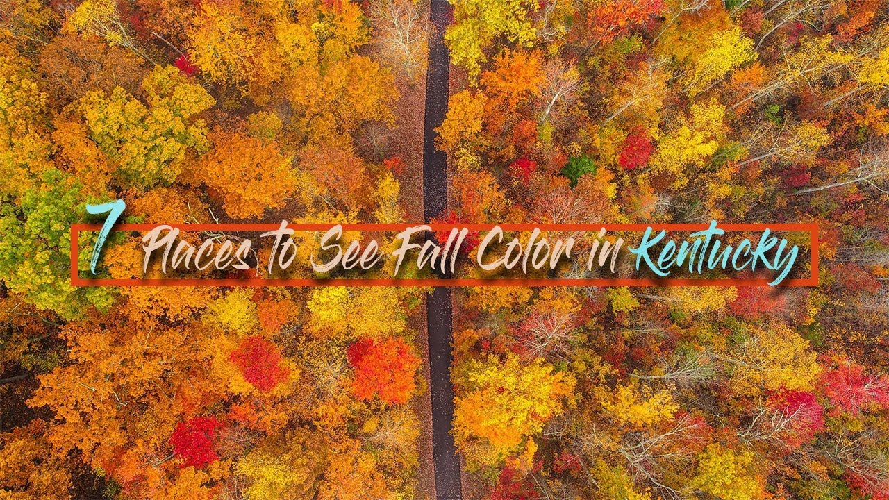7 Places to See Fall Color in Kentucky Drone Video YouTube