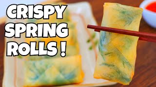 Elevate Your Cooking Game with Salmon Spring Rolls by CiCi Li