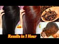 मेहंदी से बालों को कलर करने का Secret तरीका जो कोई नहीं बताएगा|Hair colouring with Henna| Mehndi