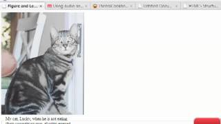 HTML5 Programming Tutorials 14 02 Profile