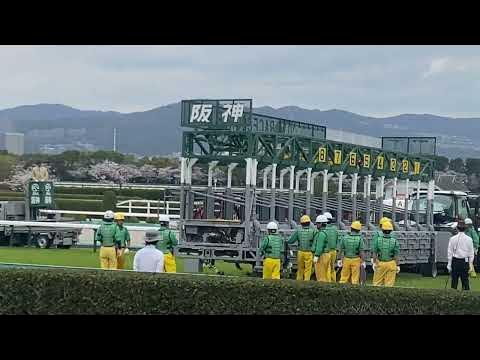 阪神9R 忘れな草賞 3歳オープン 2024~現地映像~ 競馬 桜花賞 桜花賞2024 阪神競馬場 忘れな草賞 YouTube