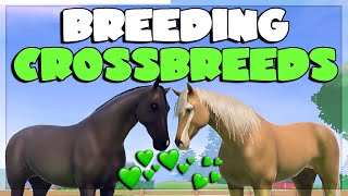 BREEDING CROSSBREEDS + NEW FOALS 💚 Equestrian The Game