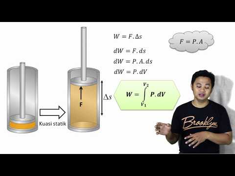 Video: Perbedaan Antara Meristem Apikal Dan Lateral