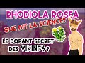 Rhodiola rosea que dit la science   bienfaits dose et effets secondaires