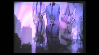 Play video: Arleen Schloss