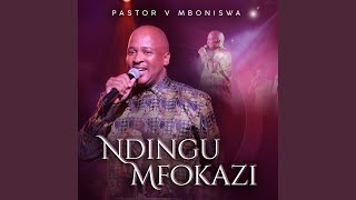 Ndingu fokazi