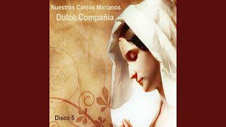 Video thumbnail of "Dulce Compañía - A Ti Reina de el Cielo"