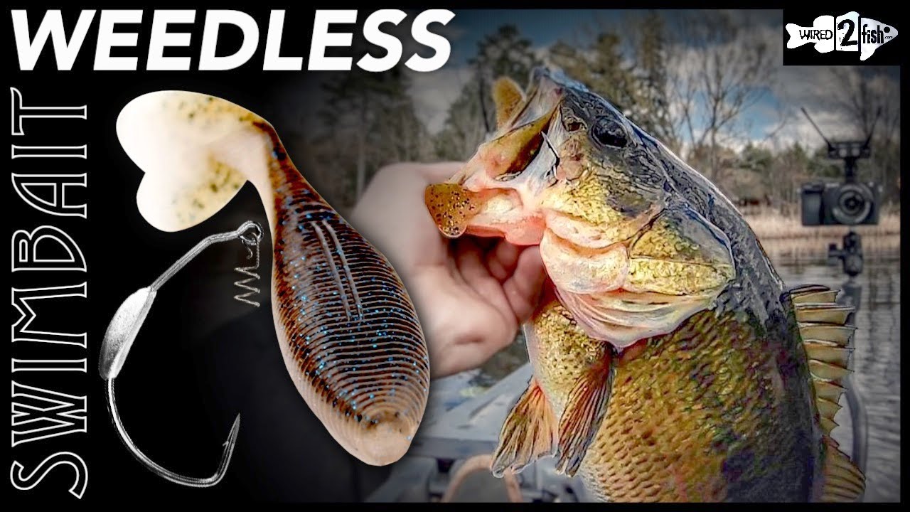 Weedless Swimbait Tips for Skinny Water Bass 