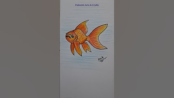 How to Draw a Goldfish #trending #shorts #ytshorts #youtubeshorts #shortvideo #viralvideo #viral