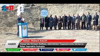 Tosyada Orman Haftası Etkinlikleri Kapsamında Binlerce Fidan Toprakla Buluştu