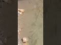 jammu kashmir me yejagah or hai ghumane layak jiska name hai shiv khoni