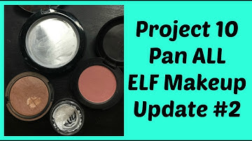 Project 10 Pan Update #2 ALL ELF MAKEUP