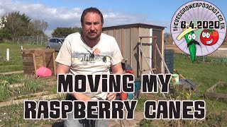 Famous Moving my raspberry canes Net Worth