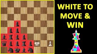 Solve This If YOU Are a GENIUS | Chess Challenge | Endgame Puzzle, Moves, Ideas, Strategy & Tactics