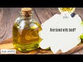 Are seed oils bad?