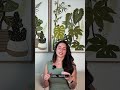 Ser Vulnerable y no Perfecto en social media esta copado tambien!