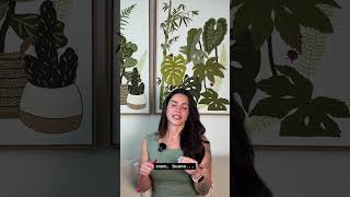 Ser Vulnerable y no Perfecto en social media esta copado tambien!
