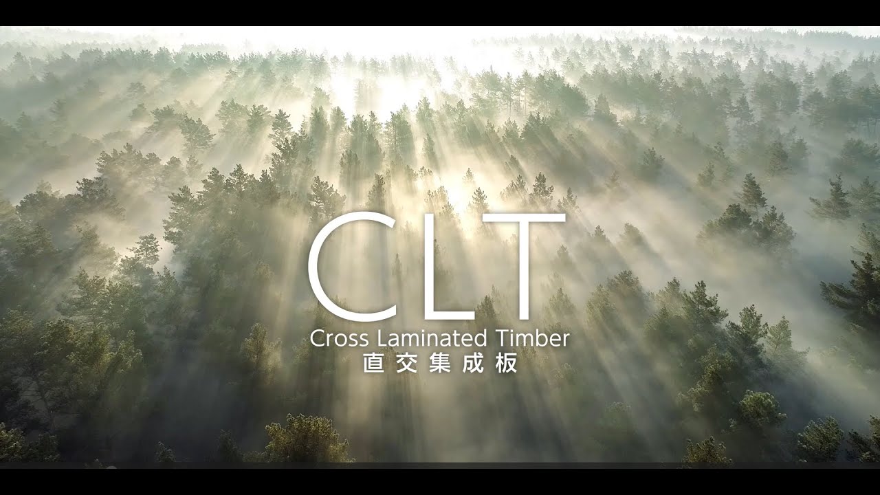 CLTとは。木の現しで街を魅了するフォルターブⅢの誕生