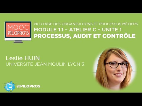 Vidéo: Qu'est-ce qu'un système d'exploitation d'audit ?