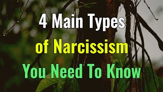 4 Main Types of Narcissism You Need To Know, How They Display Their Manipulative Tendencies