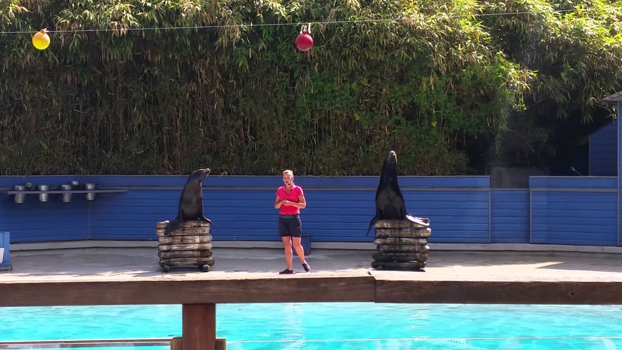 Zoo de la fleche Wally et Lucky