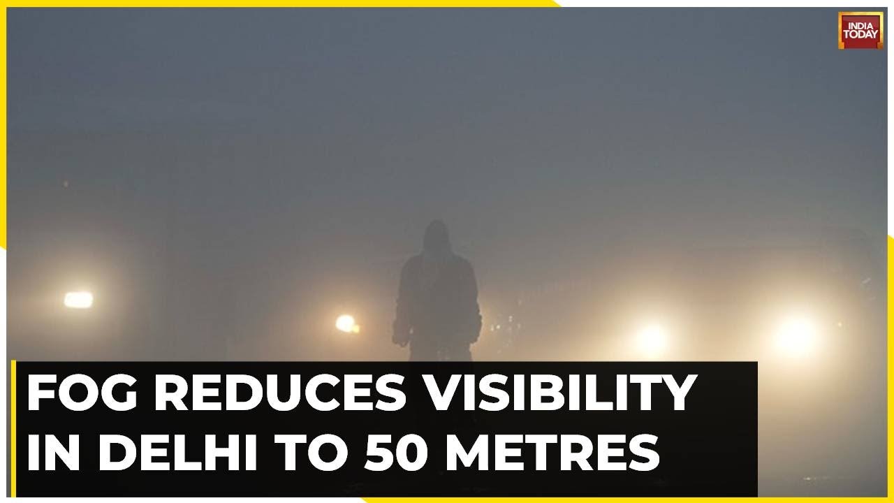 Dense Fog Blankets Delhi As Cold Wave Continues, Visibility Reduced ...