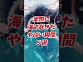 海で起きたヤバすぎる瞬間5選😱🌊 最後は完全に事故www #shorts