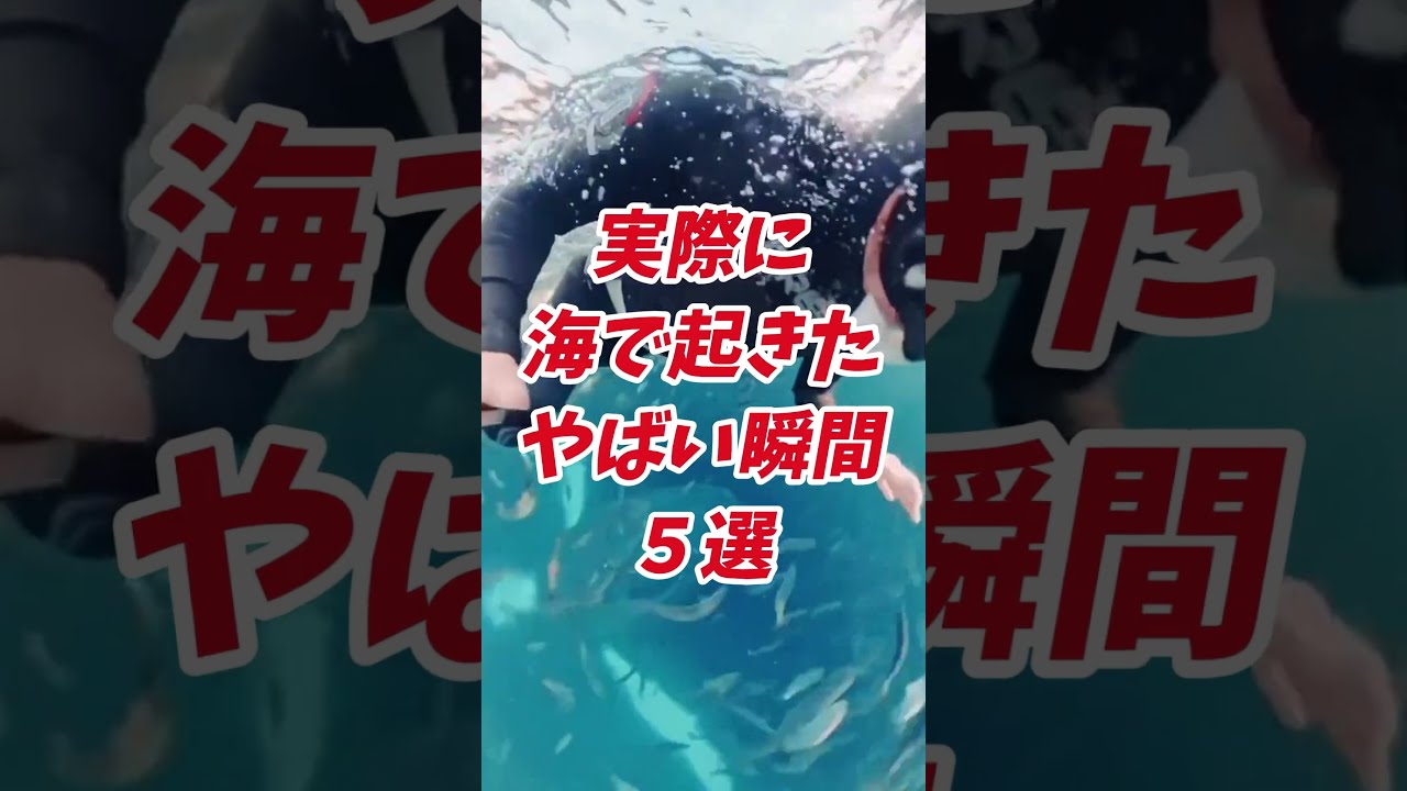 海で起きたヤバすぎる瞬間5選😱🌊 最後は完全に事故www #shorts