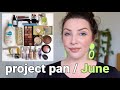 Project Pan 2023 June update #teamprojectpan2023