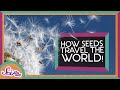 The Journey of Seeds: Nature's Remarkable Dispersal Methods