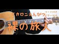 【ギターコード付き】マカロニえんぴつ/裸の旅人【アコギ弾いてみた】