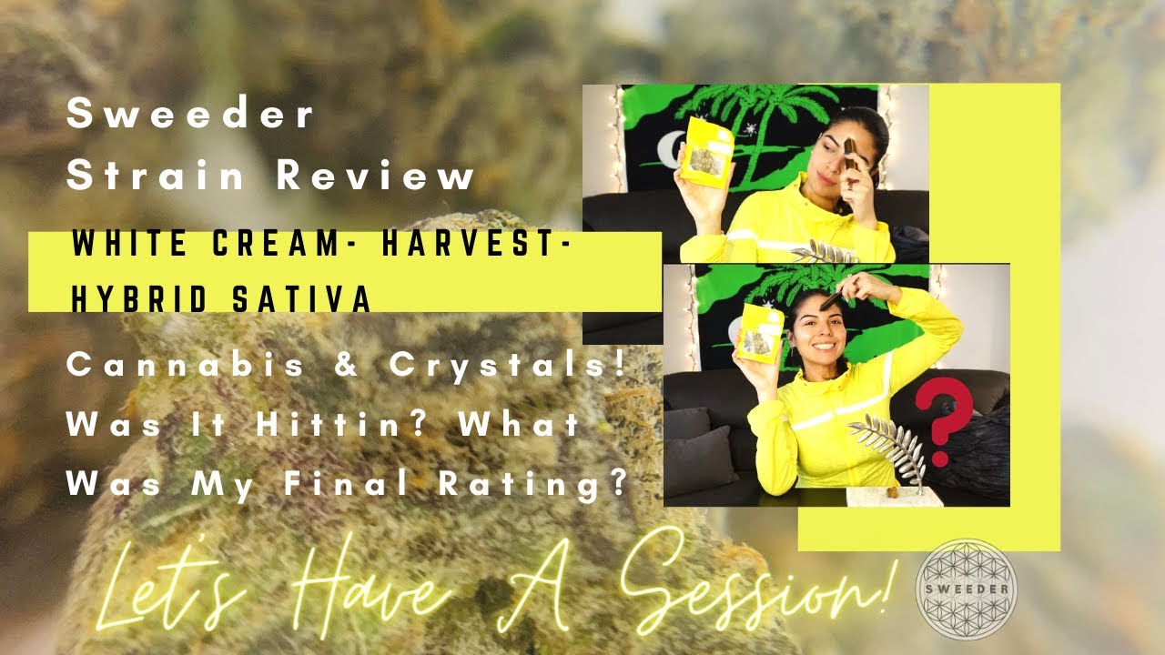 White Cream Strain Review