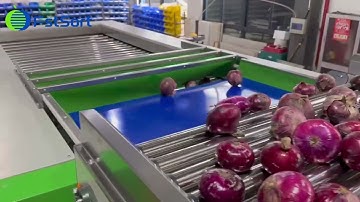 onion sorting and grading machine,onion grader machine,potato sorter,pyaj grading machine
